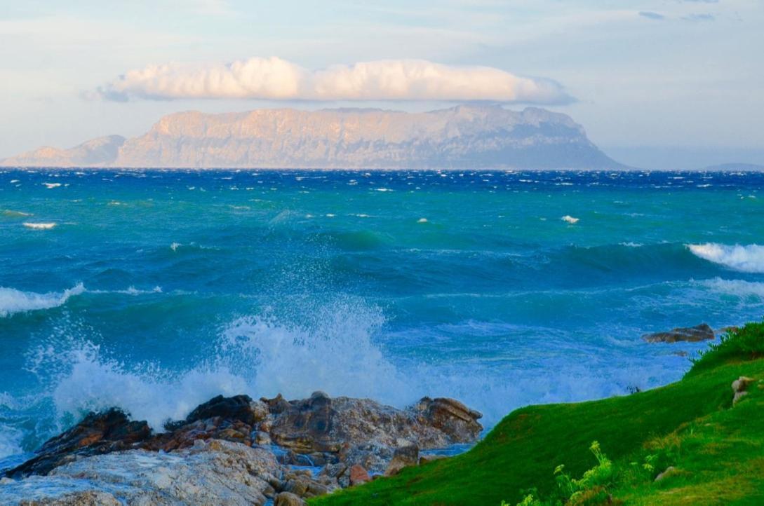 Casavacanza Golfo Aranci Bagian luar foto