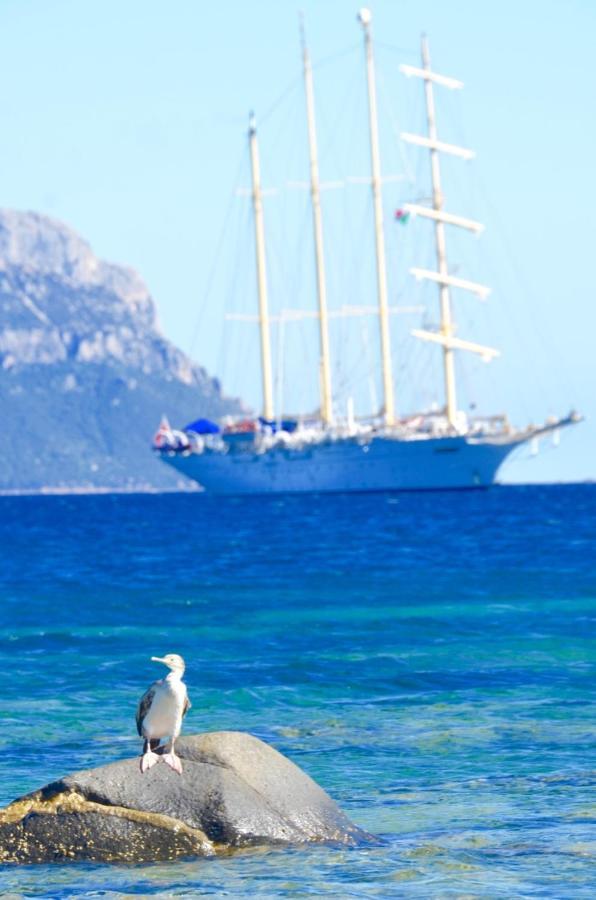Casavacanza Golfo Aranci Bagian luar foto
