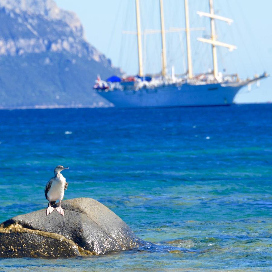 Casavacanza Golfo Aranci Bagian luar foto