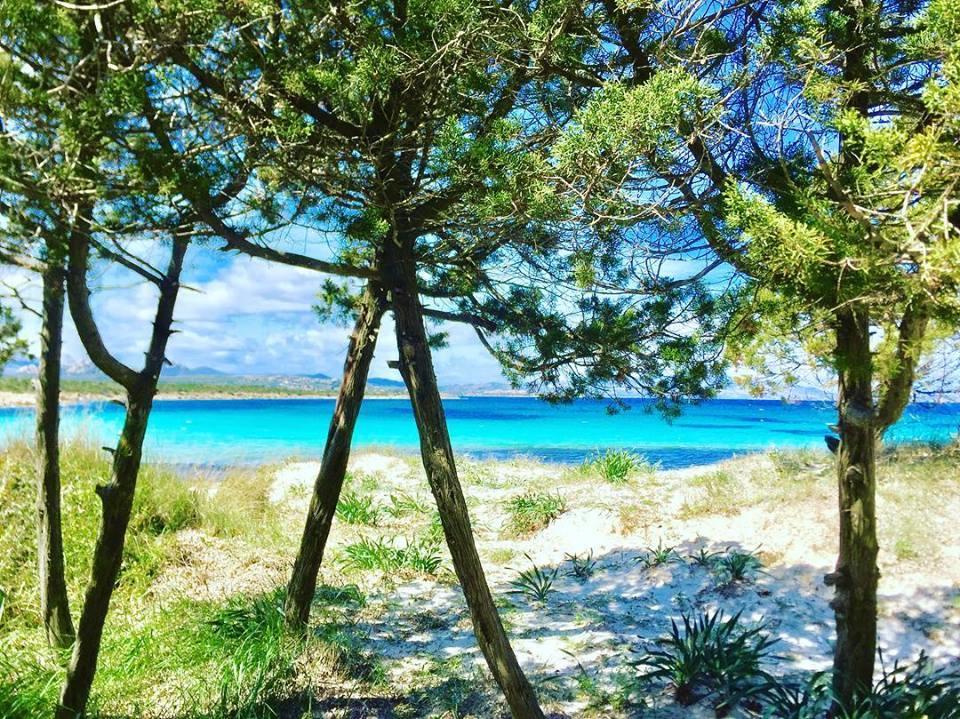 Casavacanza Golfo Aranci Bagian luar foto
